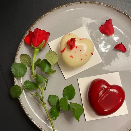 Exclusive Bdsm - Adults Only Appartement *